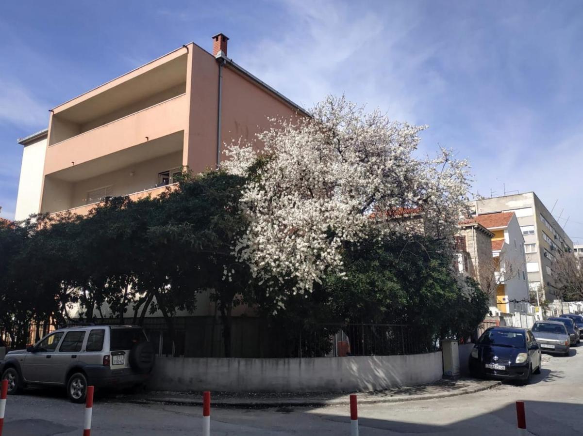 Split Symphony Garden: Modern, New Apartment Buitenkant foto